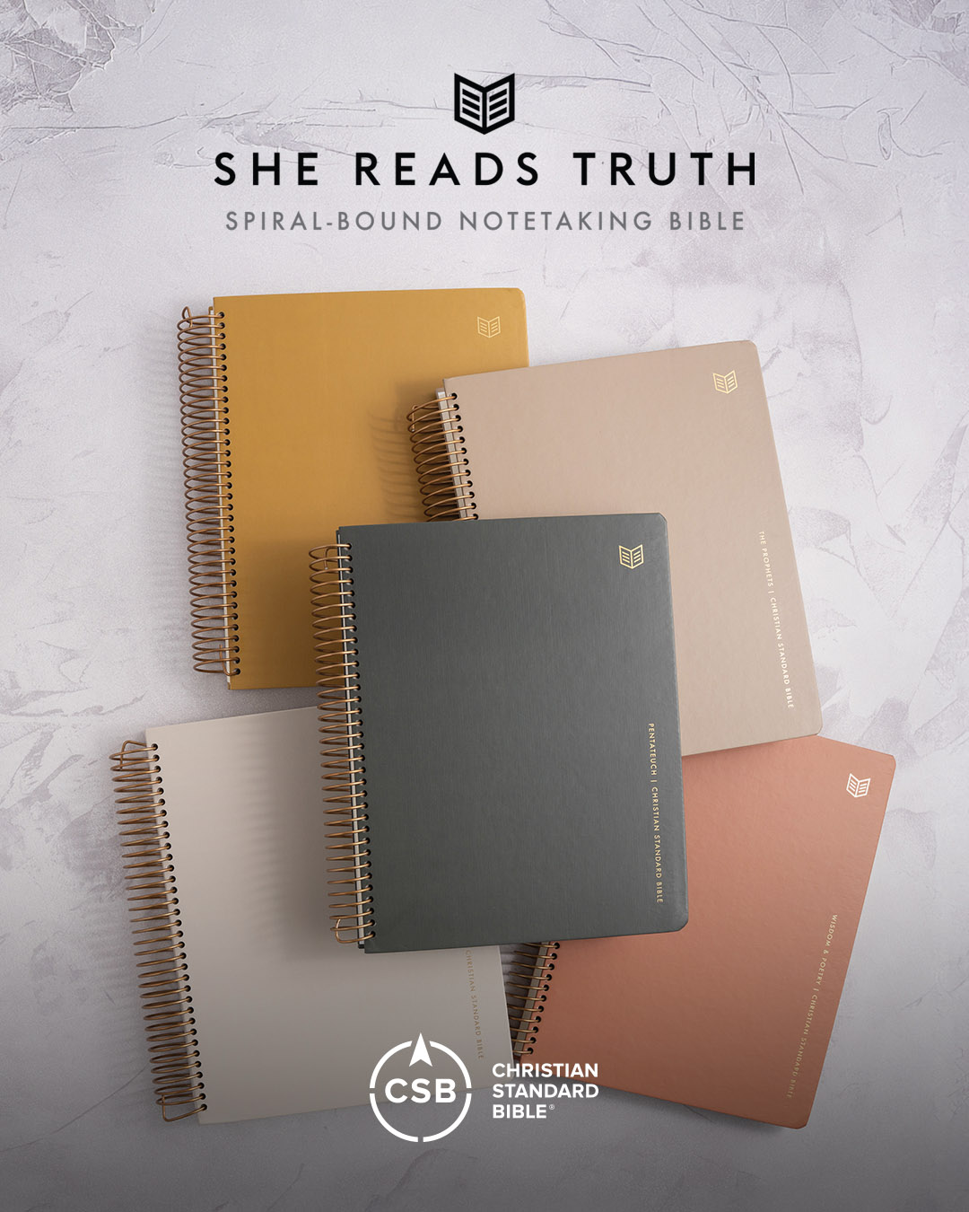 She Reads Truth Notetaking Bible